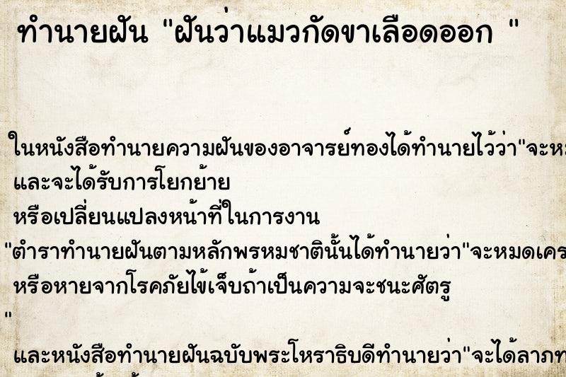 ทำนายฝันทำนายฝันฝันว่าแมวกัดขาเลือดออก